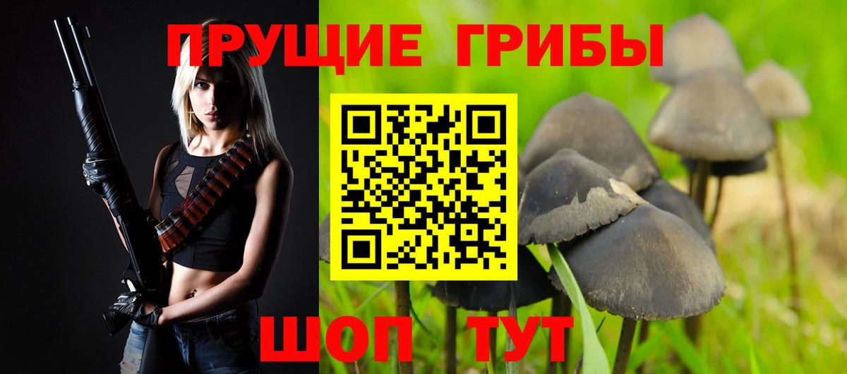 цены наркотик  Вход с VPN  Михайловск  Галлюциногенные грибы прущие грибы  Галлюциногенные грибы ЛСД 